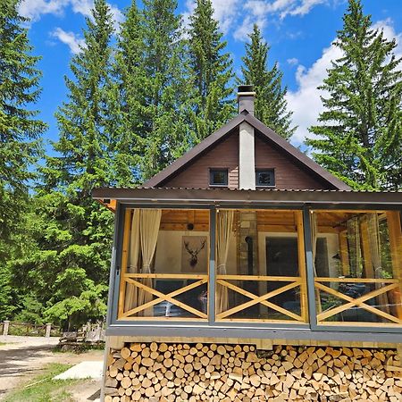 Black Lake Chalet Žabljak Kültér fotó