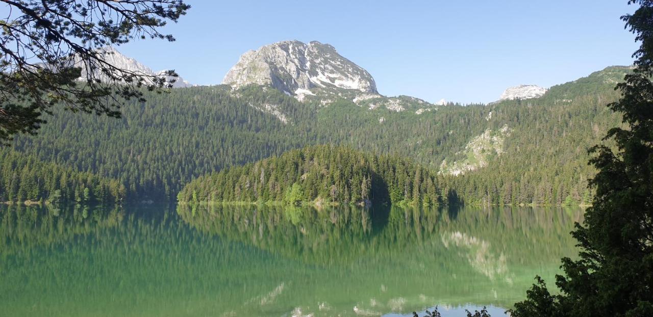 Black Lake Chalet Žabljak Kültér fotó