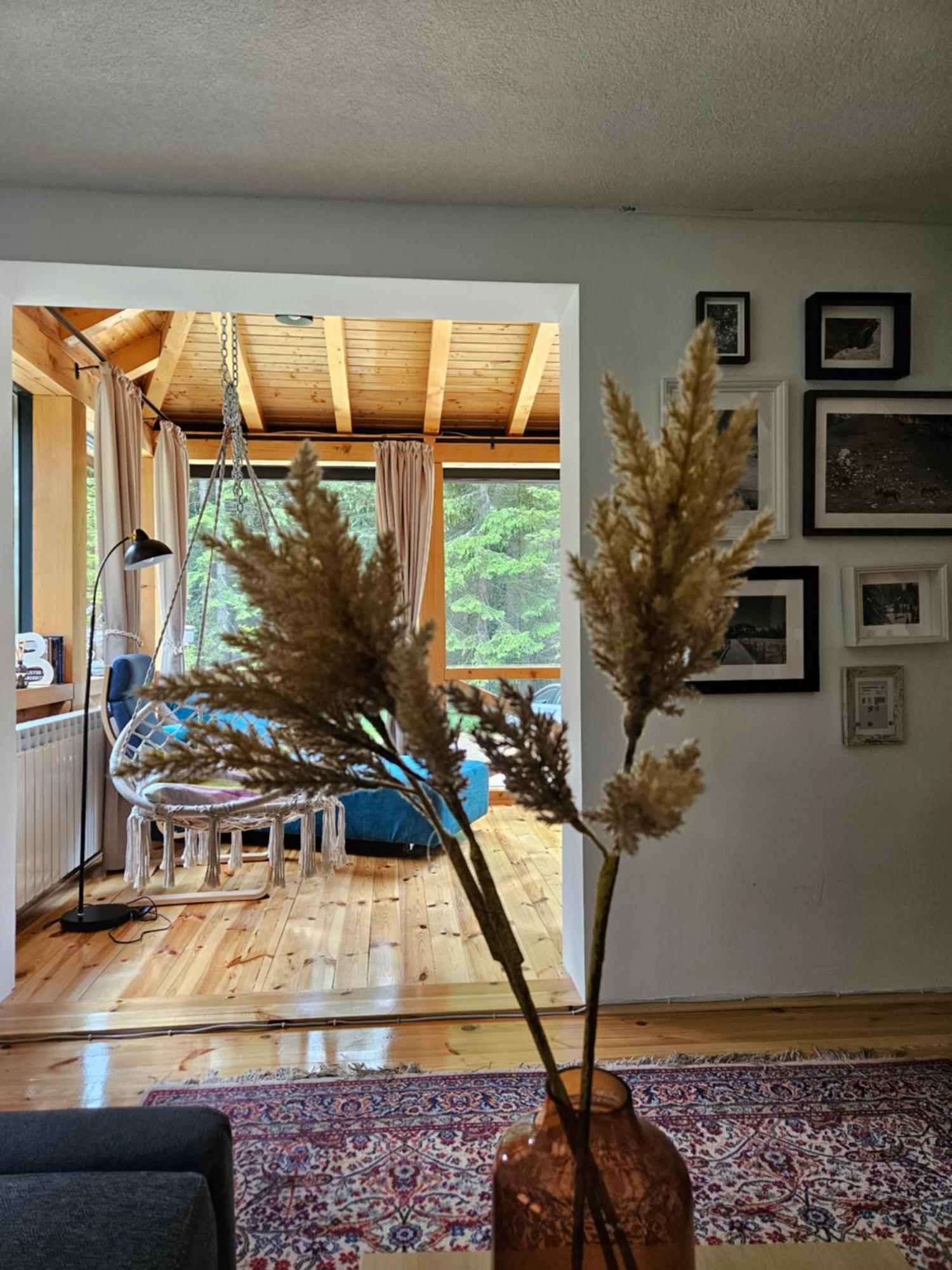 Black Lake Chalet Žabljak Kültér fotó