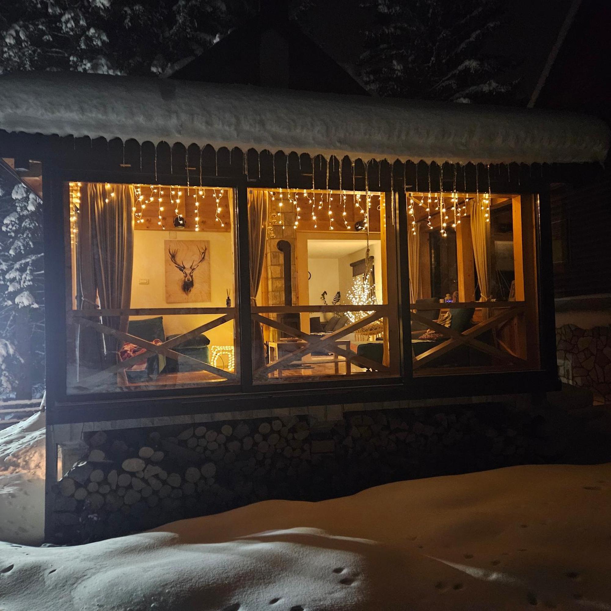 Black Lake Chalet Žabljak Kültér fotó